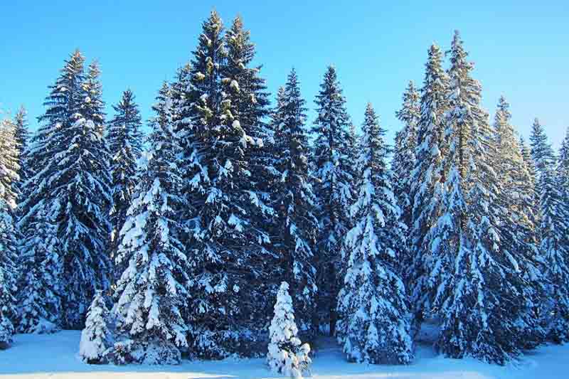 В Черногории зарегистрирован исторический температурный минимум 10 В Черногории зарегистрирован исторический температурный минимум - 10