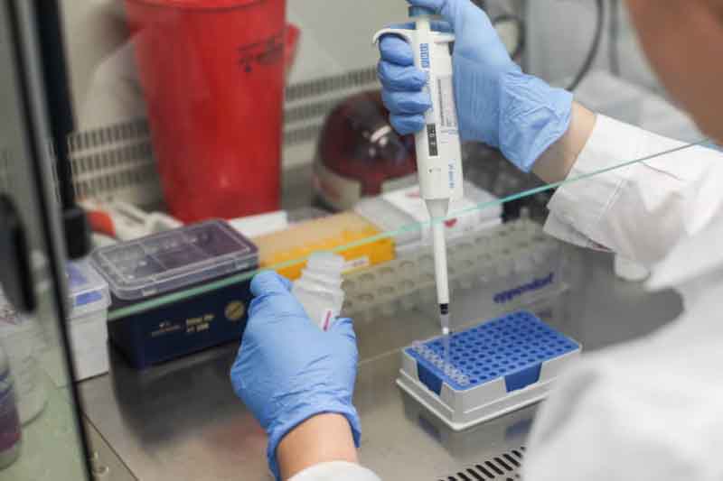 В Черногории привили 51,9% взрослого населения 9 В Черногории привили 51,9% взрослого населения - 9