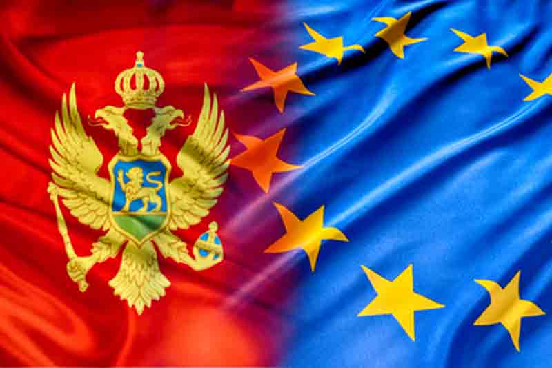 Глава парламента Черногории оценил важность вступления в ЕС 7 Глава парламента Черногории оценил важность вступления в ЕС - 7