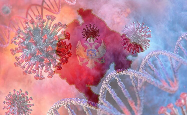 Черногория повторно объявила об эпидемии коронавируса 9 Черногория повторно объявила об эпидемии коронавируса - 9