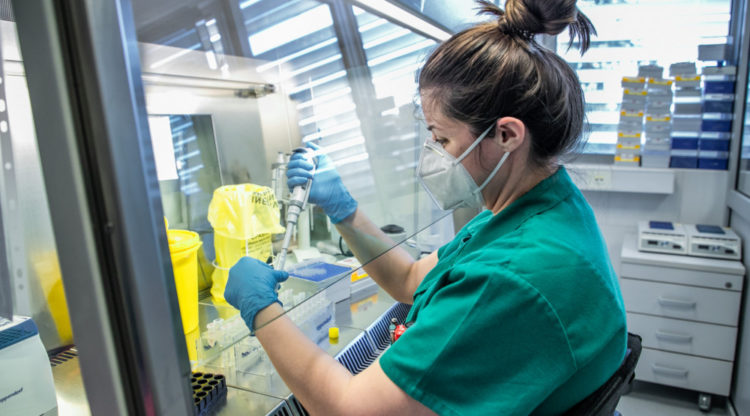 Черногория на полпути к концу эпидемии 8 Черногория на полпути к концу эпидемии - 8