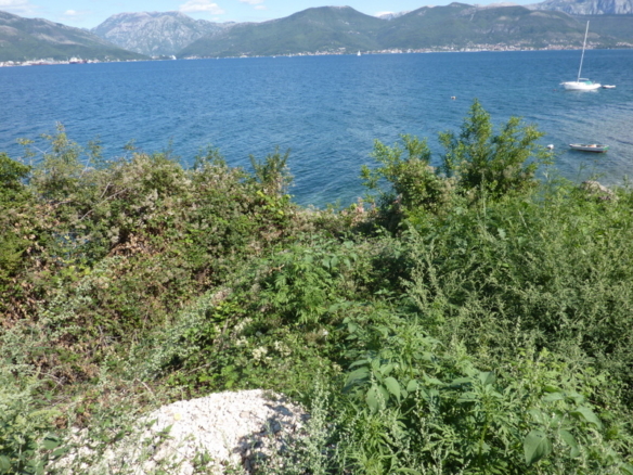 Земельный участок в Крашичи №1231 8 Земельный участок в Крашичи №1231 - 8