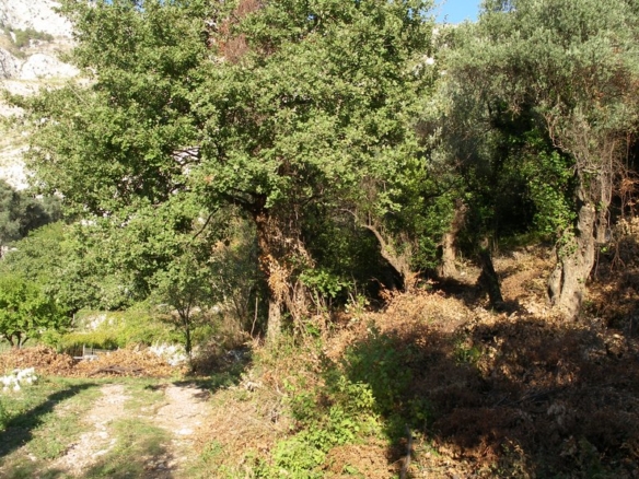 Земельный участок в Режевичи №954 12 Земельный участок в Режевичи №954 - 12