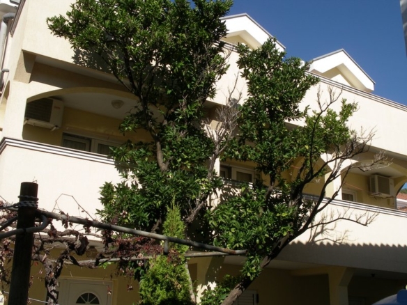 Дом в Будве №951 - 6