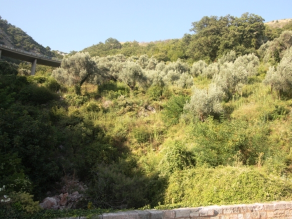 Участок в Петроваце №790 2 Участок в Петроваце №790 - 2