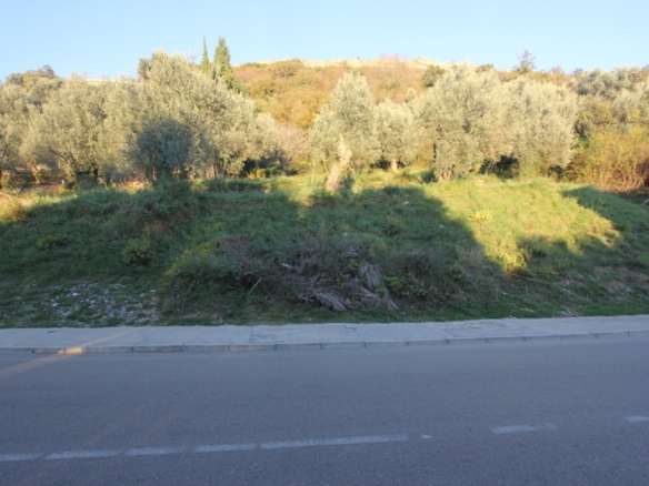 Участок в Петровац №782 16 Участок в Петровац №782 - 16