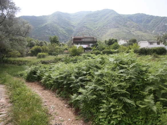 Участок в Прчани №772 6 Участок в Прчани №772 - 6