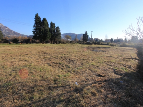 Участок в Булярице №766 4 Участок в Булярице №766 - 4