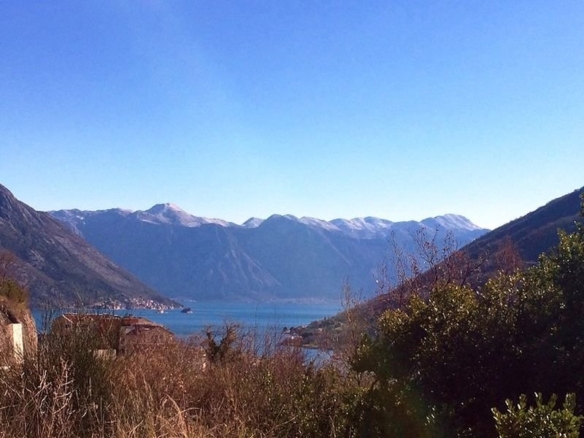 Земельный участок в Морини №683 12 Земельный участок в Морини №683 - 12