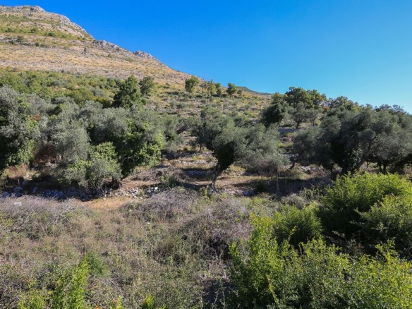 Земельный участок в Режевичи №681 16 Земельный участок в Режевичи №681 - 16