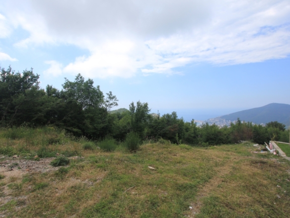 Участок в Марковичи №654 6 Участок в Марковичи №654 - 6