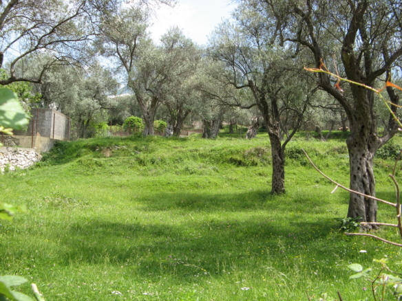 Земельный участок в Баре №621 16 Земельный участок в Баре №621 - 16