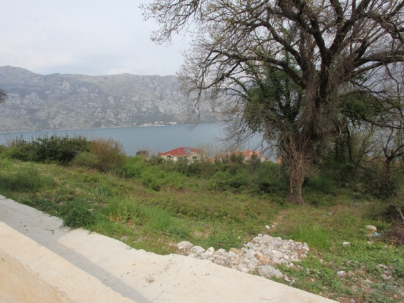 Дом в Прчани №1205 12 Дом в Прчани №1205 - 12