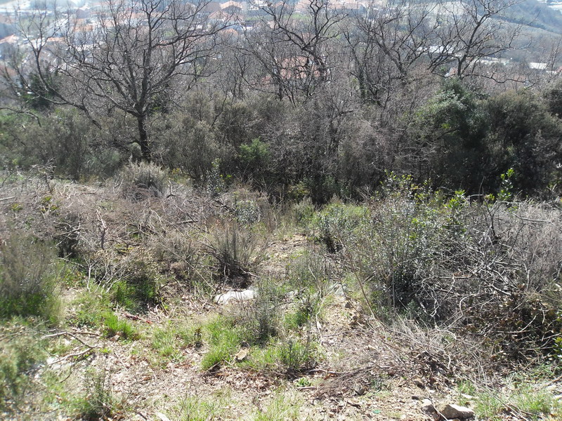 r6782.0ced93f91c22cc6cb4d12bd63a8dbb4b