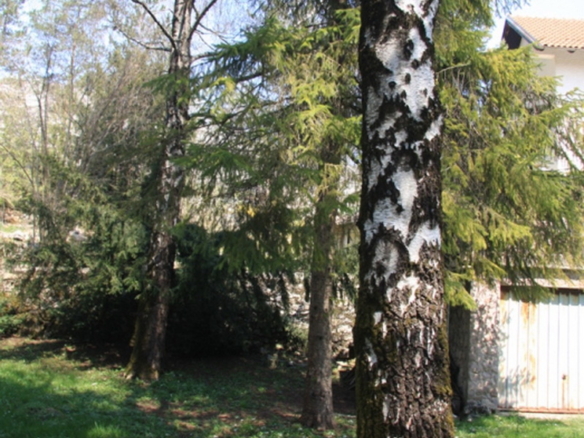 Земельный участок в Никшиче №437 18 Земельный участок в Никшиче №437 - 18