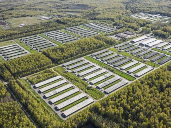 Черногория запускает CGF с капиталом 10 млн €: что это значит для бизнеса 4 CFG Crna Gora