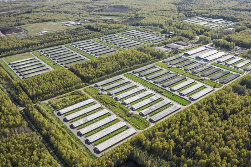 Черногория запускает CGF с капиталом 10 млн €: что это значит для бизнеса 3 CFG Crna Gora