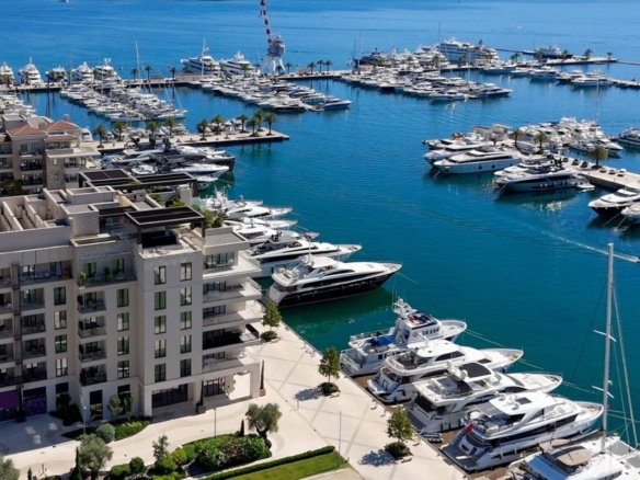 Более 65 тысяч иностранцев получили ВНЖ и ПМЖ в Черногории в 2024 году 4 Более 65 тысяч иностранцев получили ВНЖ/ПМЖ в Черногории в 2024 году