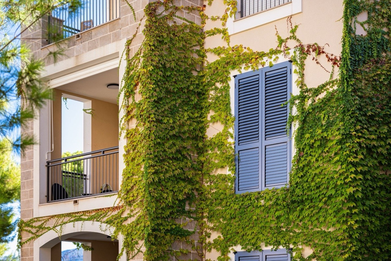 imgi_24_Lustica-apartment-1-bed-26 — крупный размер